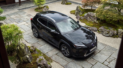 Lexus UX 300E charging cable